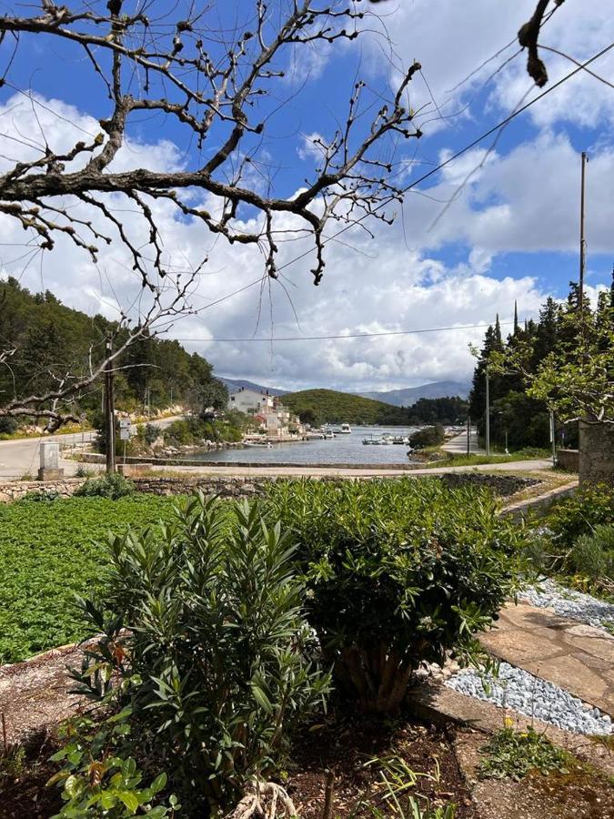 Green Bay Apartment Đảo Korčula Ngoại thất bức ảnh